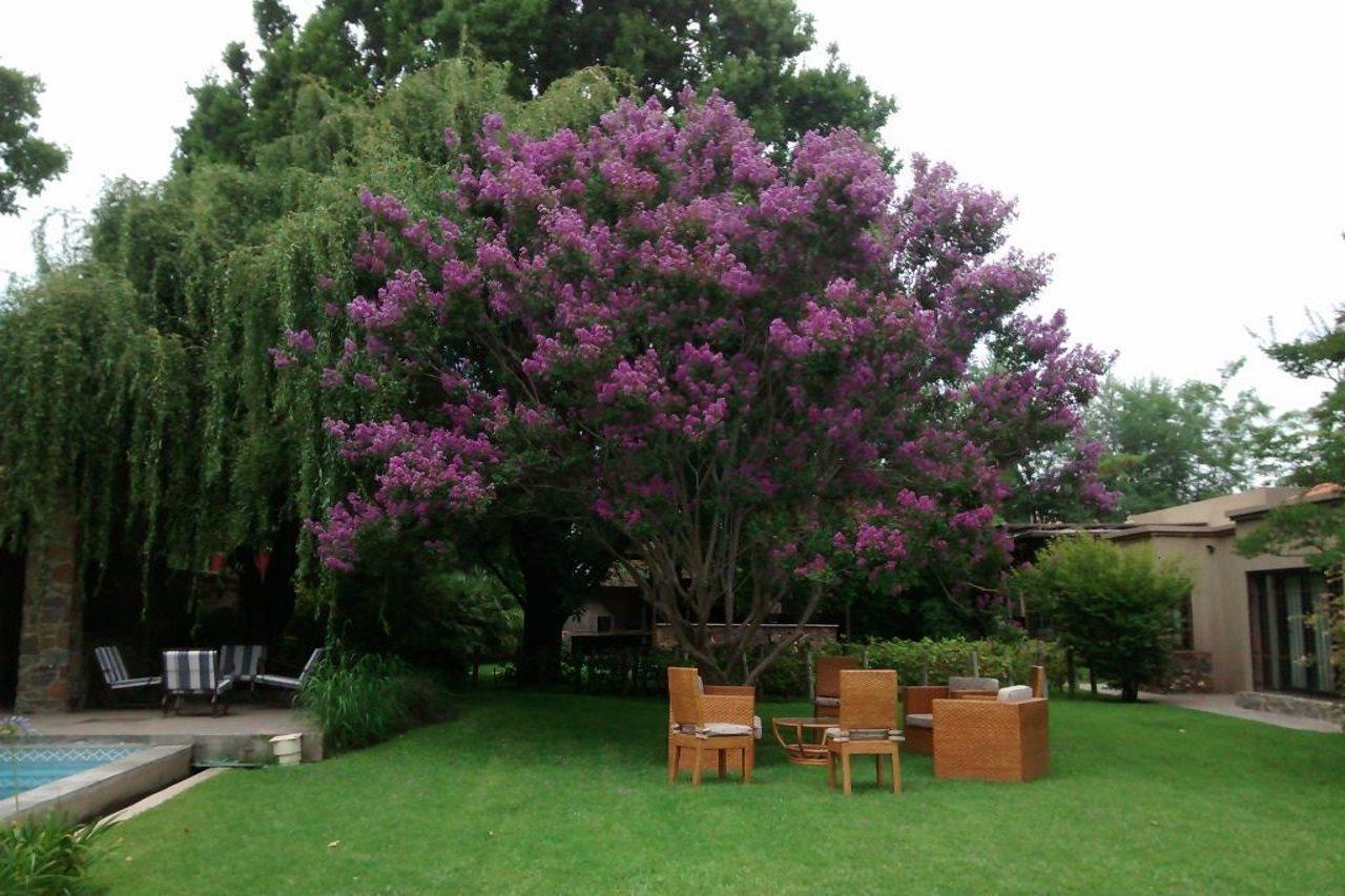 Hotel Casa La Galeana - Eco Boutique Chacras de Coria Esterno foto